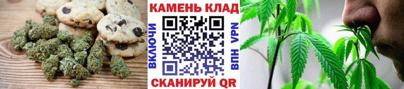 Купить закладки  Новоалександровск  Печенье с ТГК марихуана 