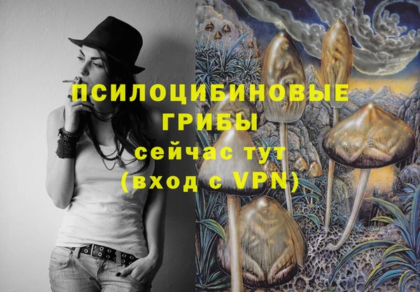 марки lsd Козельск