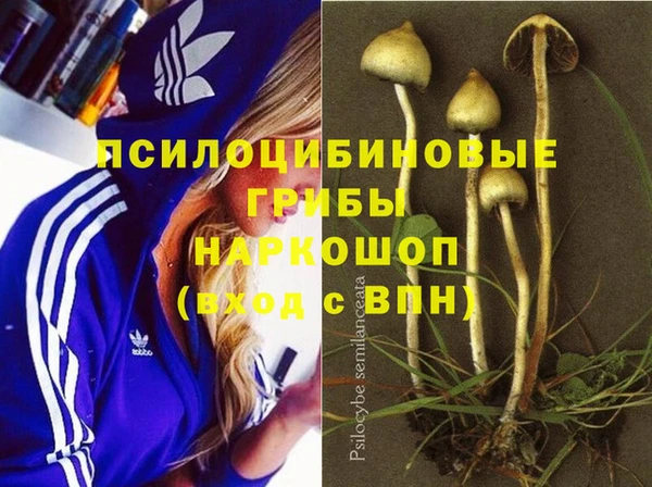 а пвп мука Козловка