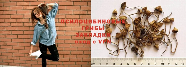 а пвп мука Козловка