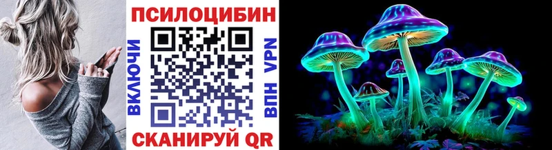 Купить где  Новоалександровск  Псилоцибиновые грибы MAGIC MUSHROOMS 